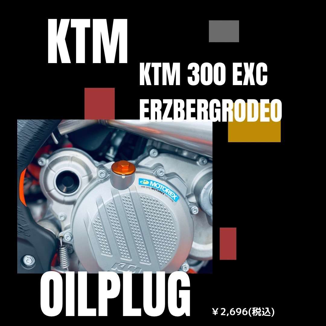 【🍊車両紹介 / KTM 300 EXC ERZBERGRODEO🍊】