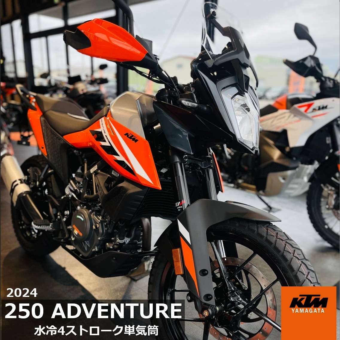 初めてのアドベンチャーにピッタリ✨ 【KTM / 250 ADVENTURE 2024】