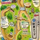 🌳✨コース図公開✨🌳